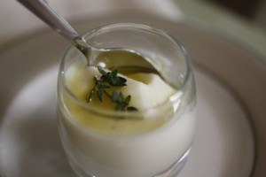 Yogurt Panna Cotta, Two Ways