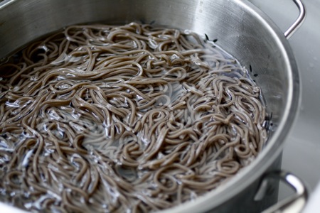 buckwheat soba noodles