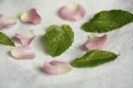 sugared rose petals