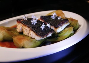 Crispy-Skin Cod, Ginger Braised Bok Choy
