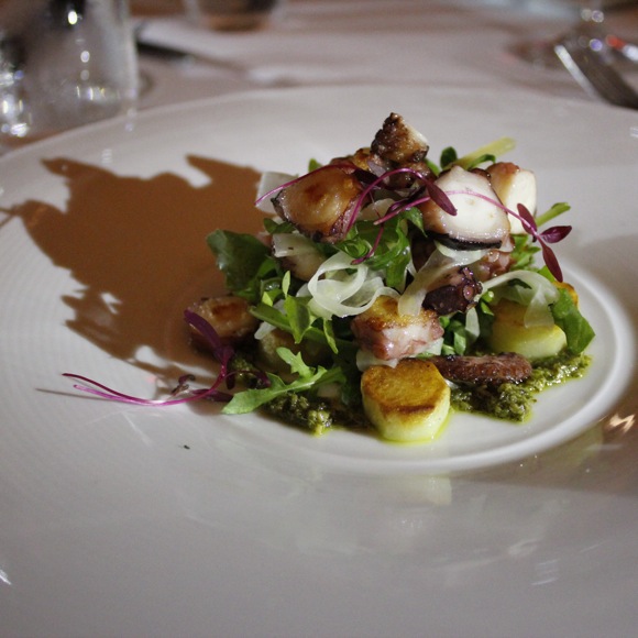 hatfield's charred octopus salad