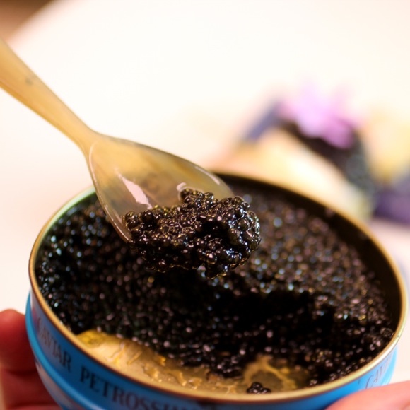 Transmontanus Caviar
