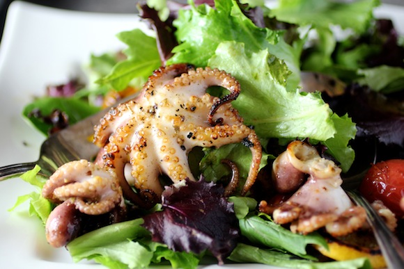 grilled baby octopus