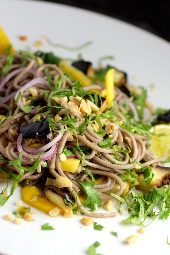 soba noodles with eggplant and mango