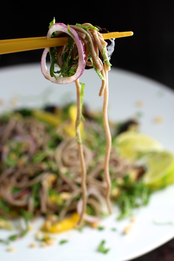 soba noodles with eggplant and mango