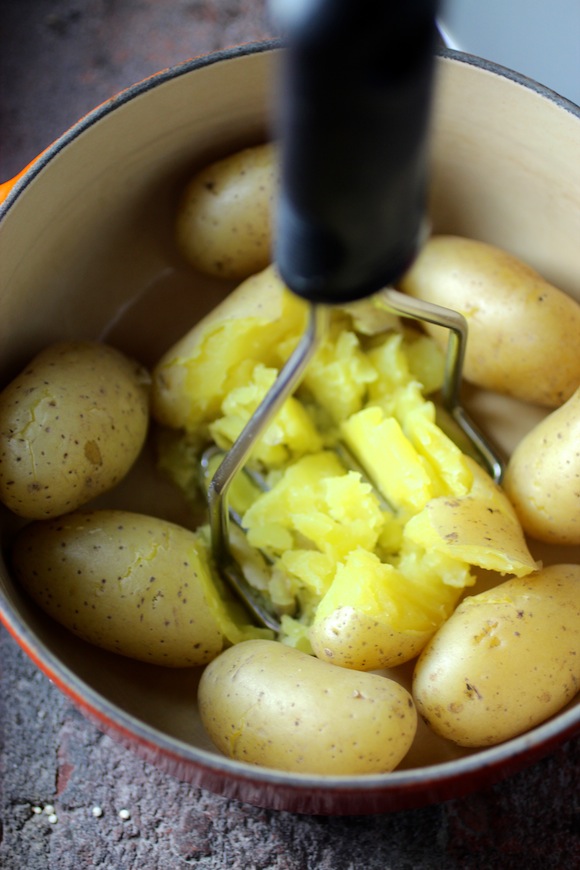 yellow-yellow fleshed klondike gourmet potatoes