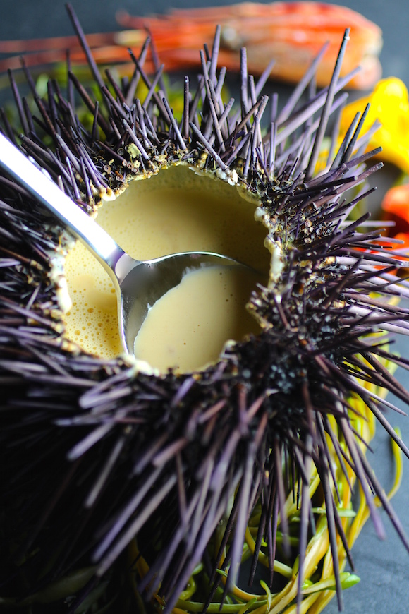 Sea Urchin Bisque