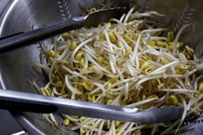 soya beansprouts
