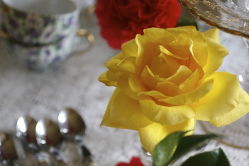 gold medal grandiflora rose, rose