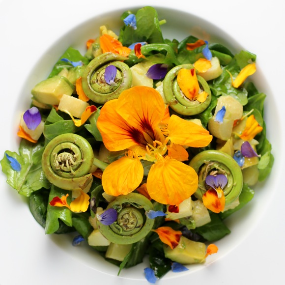 fiddlehead fern salad, edible flower salad