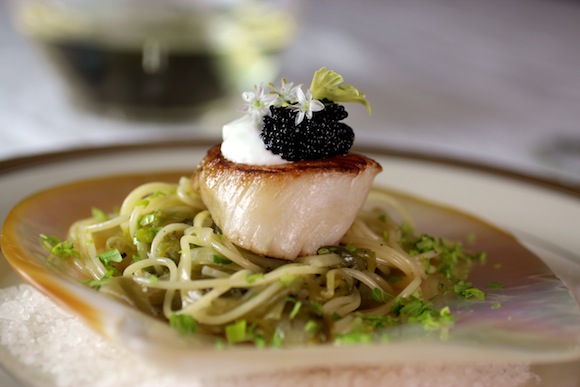 scallop, melted leek pasta, elegant first course, valentine's day appetizer