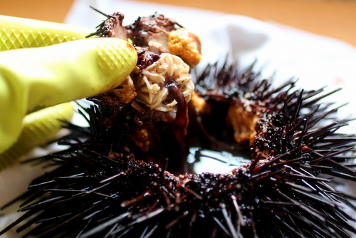 how to open clean fresh uni, sea urchin