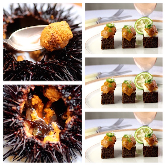 How to Clean Uni (sea urchin) step by step
