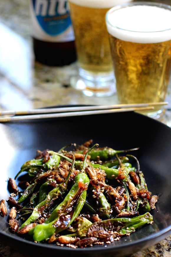 Edible Insects: Crickets and Kkwarigochu in a Sweet, Sticky, Garlicky Sauce