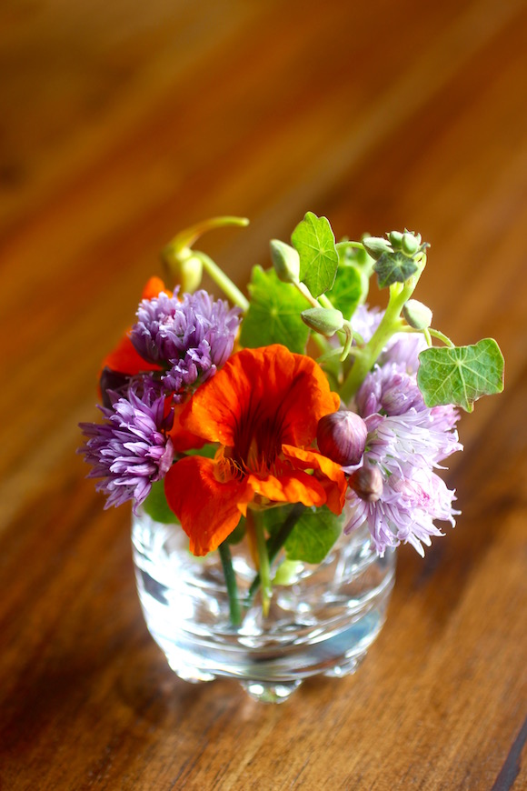 Edible Flowers: Chive and Nasturtium
