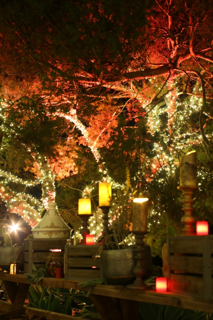 Palos Verdes Pastoral - An Enchanted Dining Experience