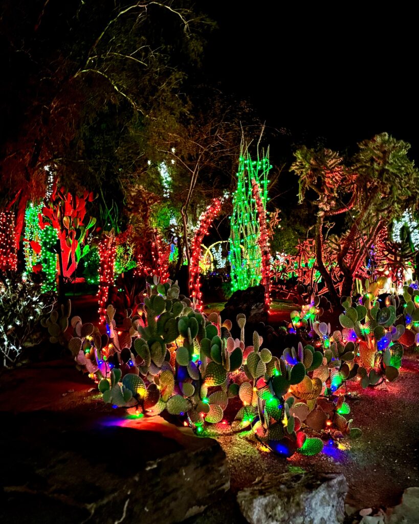 Ethel M Holiday Cactus Garden