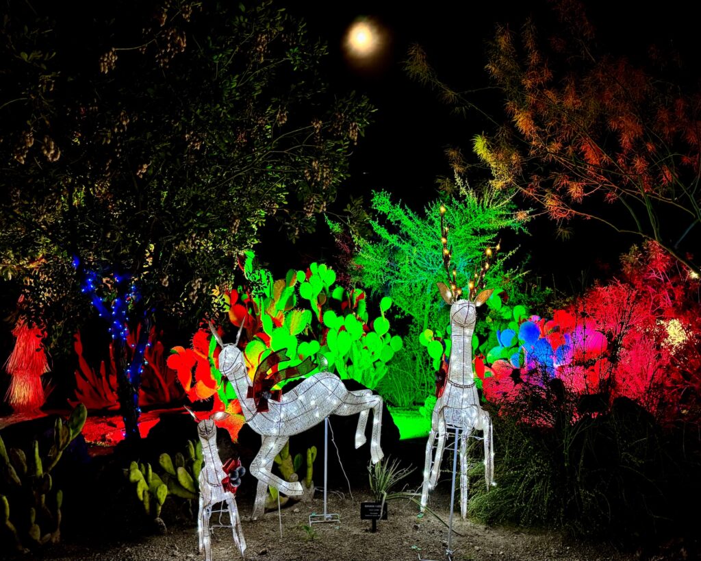 Ethel M Holiday Cactus Garden