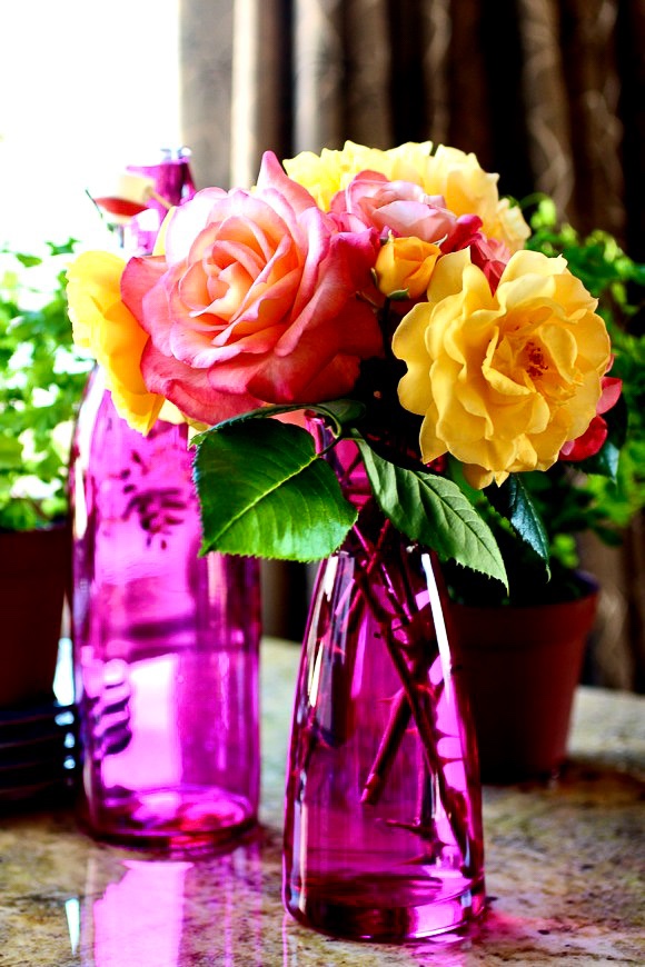 Julia Child Floribunda Roses