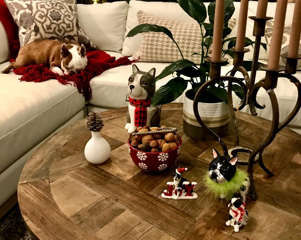 Boston Terrier Christmas