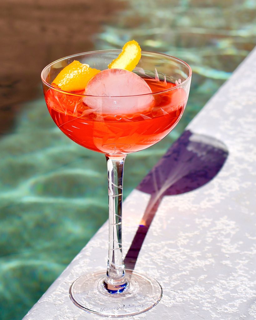 Stanley Tucci Compelled Me To Make a Negroni